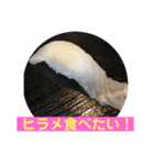 美味しいお寿司が食べたいの❣️（個別スタンプ：6）