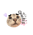 우미（個別スタンプ：2）