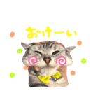 우미（個別スタンプ：6）