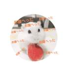 必死（個別スタンプ：1）