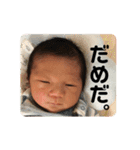 なおきちの新生児編（個別スタンプ：31）
