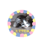 ネコでかわいく返信（個別スタンプ：22）