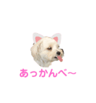 フィーマベルナスタンプ VOL.1（個別スタンプ：1）