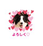 フィーマベルナスタンプ VOL.1（個別スタンプ：6）