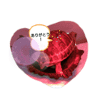 わたしの亀（個別スタンプ：6）
