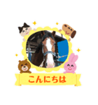 シャドウ＆多賀井スタンプ（個別スタンプ：2）