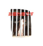 シャドウ＆多賀井スタンプ（個別スタンプ：4）
