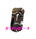 シャドウ＆多賀井スタンプ（個別スタンプ：5）