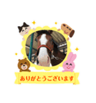シャドウ＆多賀井スタンプ（個別スタンプ：6）