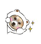 今日のちゃこちゃん2（個別スタンプ：1）