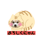 今日のちゃこちゃん2（個別スタンプ：5）