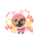 今日のちゃこちゃん2（個別スタンプ：7）