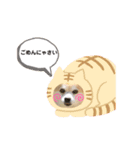 今日のちゃこちゃん2（個別スタンプ：21）