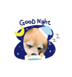 今日のちゃこちゃん2（個別スタンプ：24）