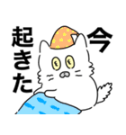 でか文字スタンプ～もふもふしろねこ～（個別スタンプ：13）