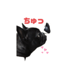 でん1（個別スタンプ：1）