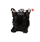 でん1（個別スタンプ：2）