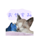 ふぶちゃんスタンプ（個別スタンプ：2）
