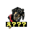りくすた（りくすたんぷ）（個別スタンプ：3）