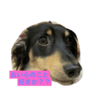 りくすた（りくすたんぷ）（個別スタンプ：6）