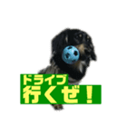りくすた（りくすたんぷ）（個別スタンプ：7）