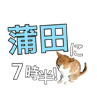 【半】東京ネコ 1.2（個別スタンプ：20）