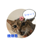 なな＆ココ（個別スタンプ：8）