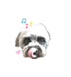 パンダ犬 モグたん（個別スタンプ：2）