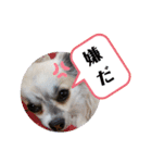 うちのきんひめぷう（個別スタンプ：2）