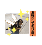 うちのきんひめぷう（個別スタンプ：6）