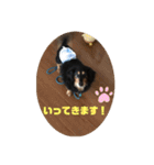 ありがとう。フォルテ(^^)（個別スタンプ：2）