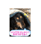 ありがとう。フォルテ(^^)（個別スタンプ：3）