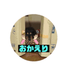 ありがとう。フォルテ(^^)（個別スタンプ：6）