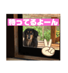 ありがとう。フォルテ(^^)（個別スタンプ：7）