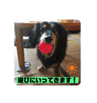 ありがとう。フォルテ(^^)（個別スタンプ：12）