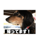 ありがとう。フォルテ(^^)（個別スタンプ：18）