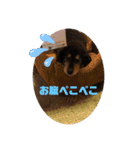 ありがとう。フォルテ(^^)（個別スタンプ：19）
