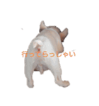 だいふく778（個別スタンプ：11）