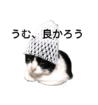 ニールス・ボーヤと仲間たちver.1.1（個別スタンプ：1）