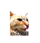 ニールス・ボーヤと仲間たちver.1.1（個別スタンプ：8）