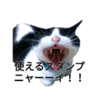 ニールス・ボーヤと仲間たちver.1.1（個別スタンプ：16）