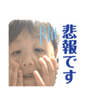 あおいとスタンプ①（個別スタンプ：7）