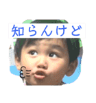 あおいとスタンプ①（個別スタンプ：24）