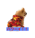 夏バテ気味？（個別スタンプ：8）