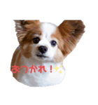 ポッキースタンプ！1（個別スタンプ：2）