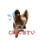 ポッキースタンプ！1（個別スタンプ：5）