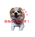 ポッキースタンプ！1（個別スタンプ：6）