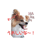 ポッキースタンプ！1（個別スタンプ：7）