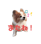 ポッキースタンプ！1（個別スタンプ：8）