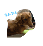 可愛いすぎるラッキーちゃん（個別スタンプ：2）